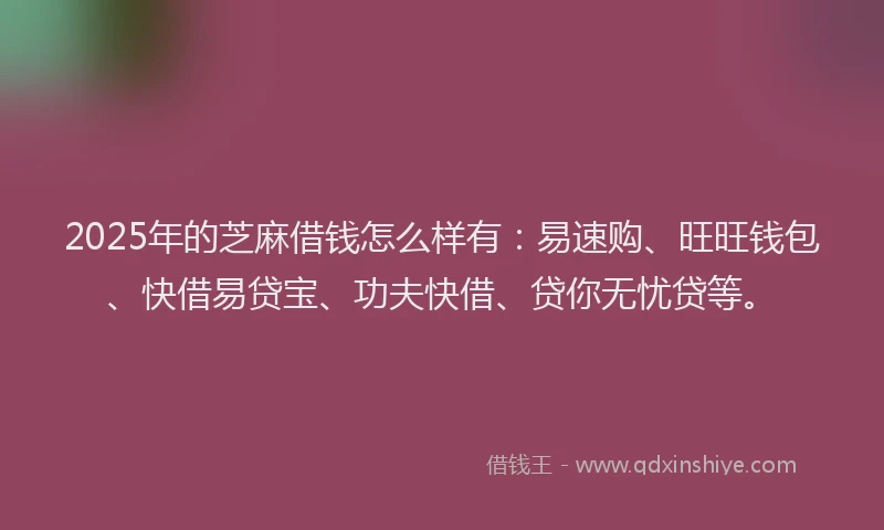 2025年的芝麻借钱怎么样有：易速购、旺旺钱包、快借易贷宝、功夫快借、贷你无忧贷等。