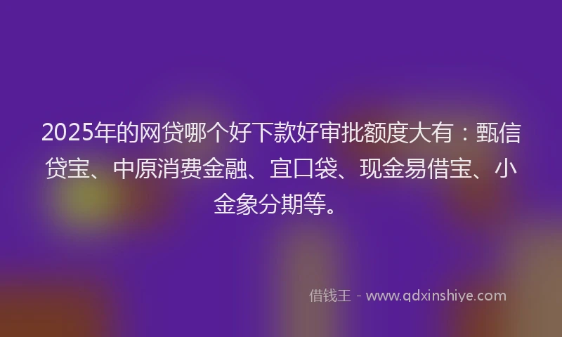 2025年的网贷哪个好下款好审批额度大有：甄信贷宝、中原消费金融、宜口袋、现金易借宝、小金象分期等。