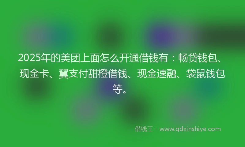 2025年的美团上面怎么开通借钱有：畅贷钱包、现金卡、翼支付甜橙借钱、现金速融、袋鼠钱包等。