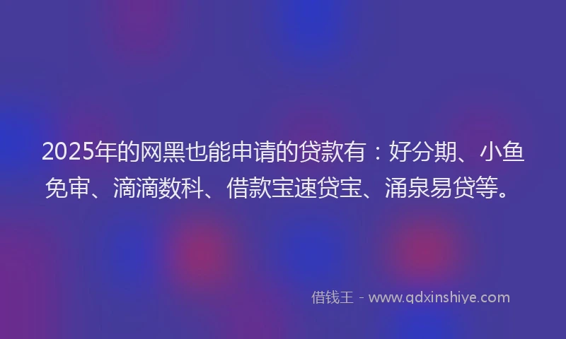 2025年的网黑也能申请的贷款有：好分期、小鱼免审、滴滴数科、借款宝速贷宝、涌泉易贷等。