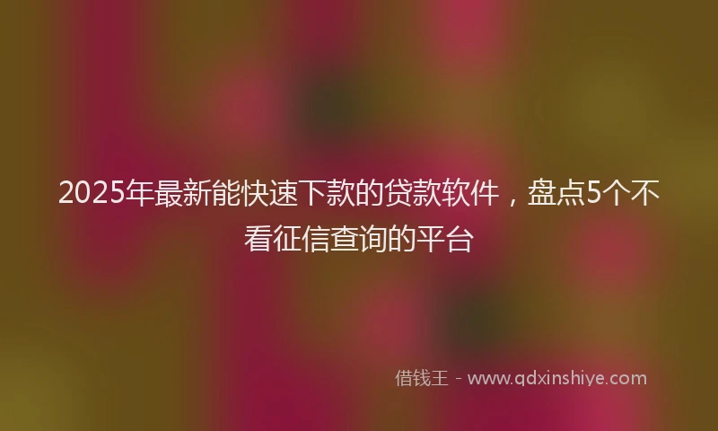 2025年最新能快速下款的贷款软件，盘点5个不看征信查询的平台