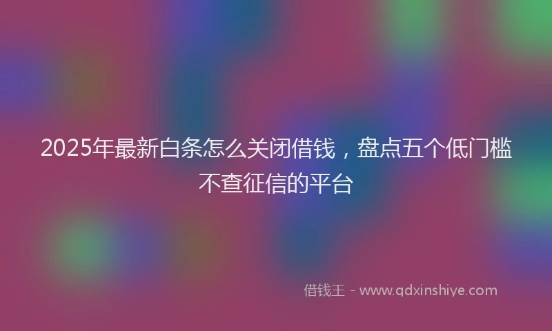 2025年最新白条怎么关闭借钱，盘点五个低门槛不查征信的平台