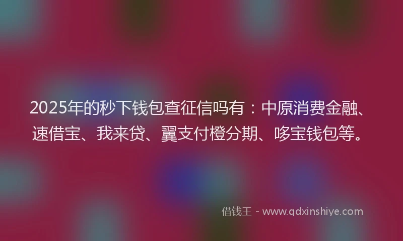 2025年的秒下钱包查征信吗有：中原消费金融、速借宝、我来贷、翼支付橙分期、哆宝钱包等。
