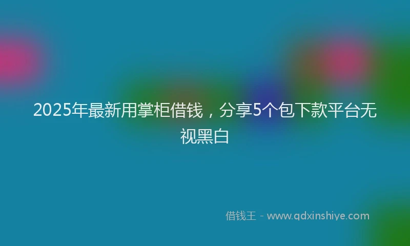 2025年最新用掌柜借钱，分享5个包下款平台无视黑白