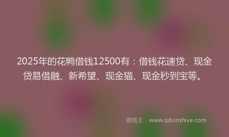 2025年的花鸭借钱12500有：借钱花速贷、现金贷易借融、新希望、现金猫、现金秒到宝等。