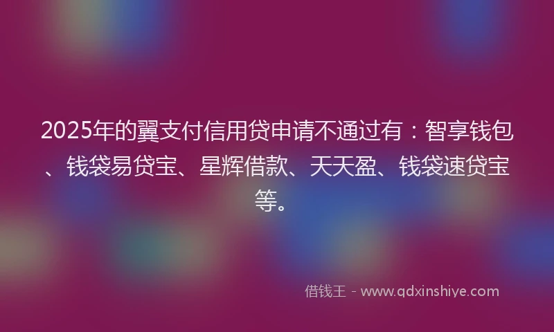 2025年的翼支付信用贷申请不通过有：智享钱包、钱袋易贷宝、星辉借款、天天盈、钱袋速贷宝等。