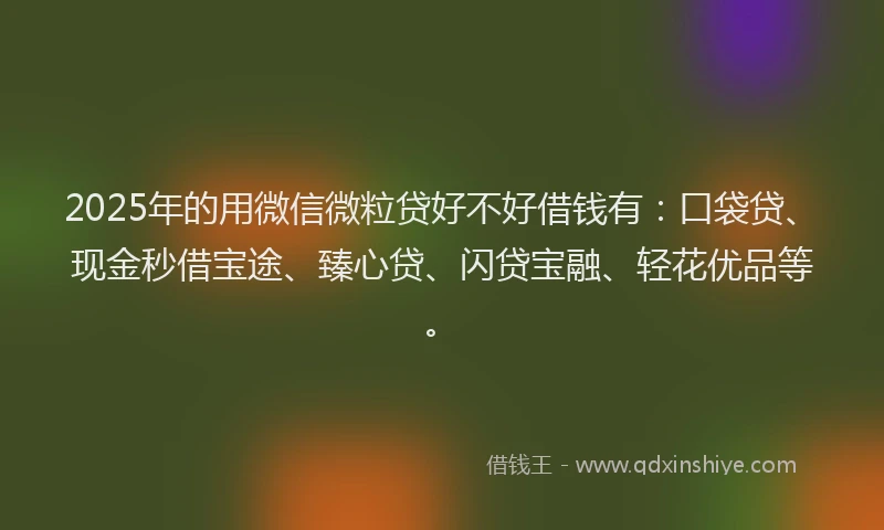 2025年的用微信微粒贷好不好借钱有：口袋贷、现金秒借宝途、臻心贷、闪贷宝融、轻花优品等。