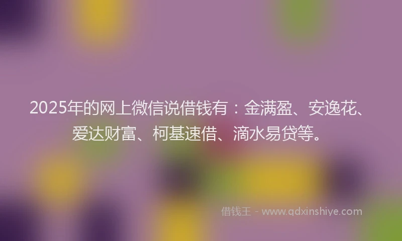 2025年的网上微信说借钱有：金满盈、安逸花、爱达财富、柯基速借、滴水易贷等。