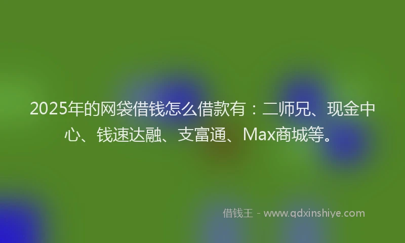 2025年的网袋借钱怎么借款有：二师兄、现金中心、钱速达融、支富通、Max商城等。