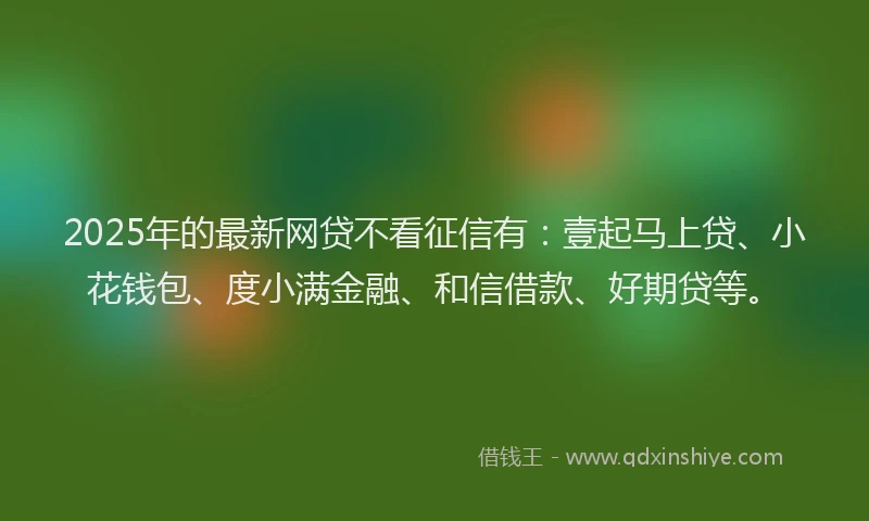 2025年的最新网贷不看征信有：壹起马上贷、小花钱包、度小满金融、和信借款、好期贷等。