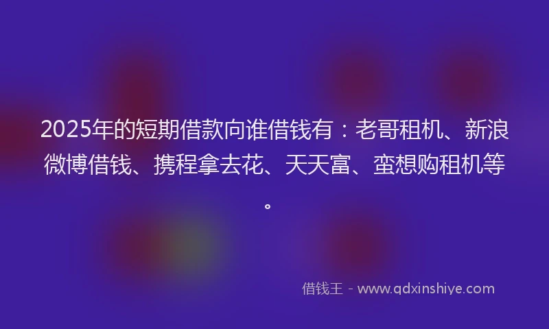 2025年的短期借款向谁借钱有：老哥租机、新浪微博借钱、携程拿去花、天天富、蛮想购租机等。