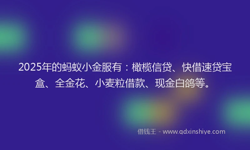 2025年的蚂蚁小金服有：橄榄信贷、快借速贷宝盒、全金花、小麦粒借款、现金白鸽等。