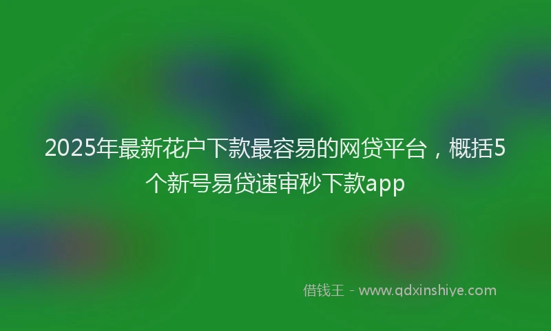 2025年最新花户下款最容易的网贷平台，概括5个新号易贷速审秒下款app