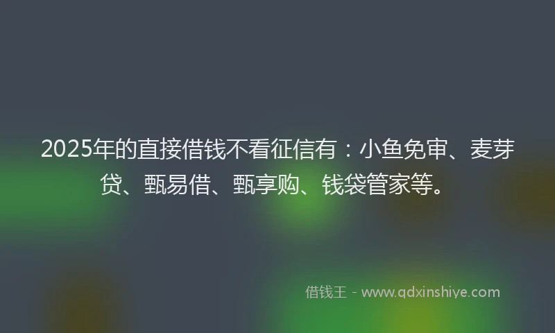 2025年的直接借钱不看征信有:小鱼免审、麦芽贷、甄易借、甄享购、钱袋管家等。