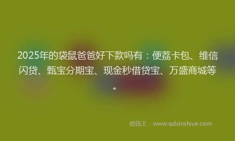 2025年的袋鼠爸爸好下款吗有：便荔卡包、维信闪贷、甄宝分期宝、现金秒借贷宝、万盛商城等。