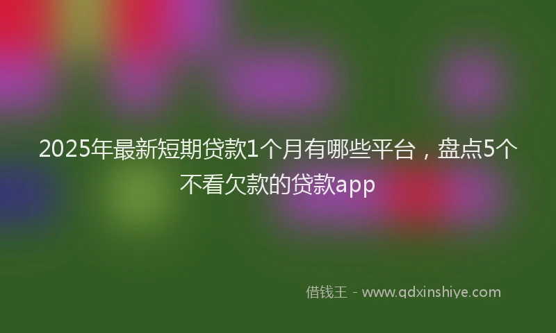 2025年最新短期贷款1个月有哪些平台，盘点5个不看欠款的贷款app
