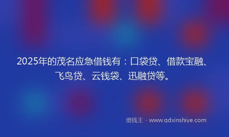 2025年的茂名应急借钱有：口袋贷、借款宝融、飞鸟贷、云钱袋、迅融贷等。