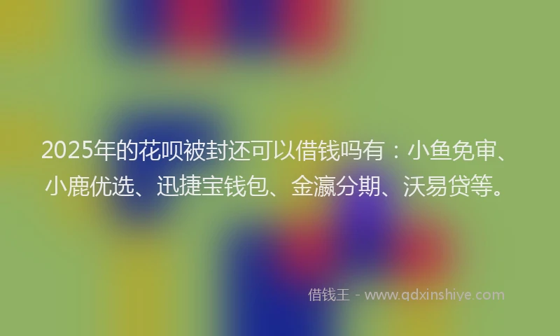 2025年的花呗被封还可以借钱吗有：小鱼免审、小鹿优选、迅捷宝钱包、金瀛分期、沃易贷等。