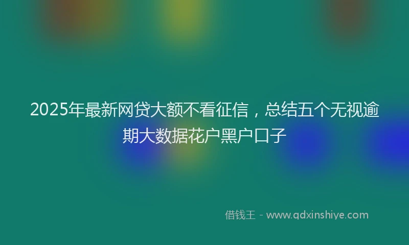 2025年最新网贷大额不看征信，总结五个无视逾期大数据花户黑户口子