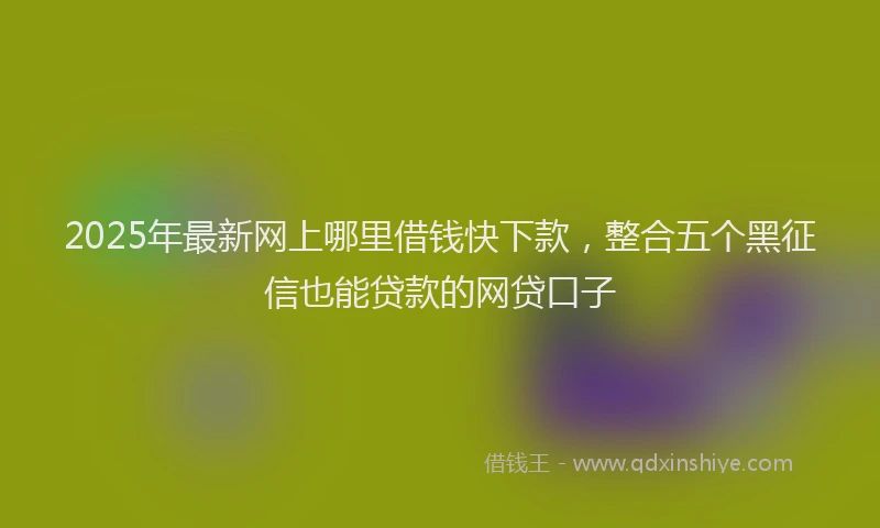 2025年最新网上哪里借钱快下款，整合五个黑征信也能贷款的网贷口子
