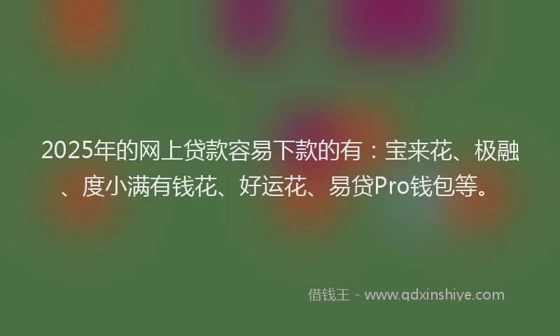 2025年的网上贷款容易下款的有：宝来花、极融、度小满有钱花、好运花、易贷Pro钱包等。
