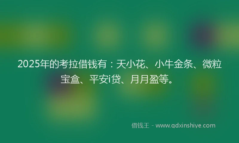 2025年的考拉借钱有：天小花、小牛金条、微粒宝盒、平安i贷、月月盈等。