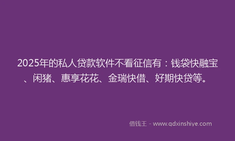 2025年的私人贷款软件不看征信有：钱袋快融宝、闲猪、惠享花花、金瑞快借、好期快贷等。