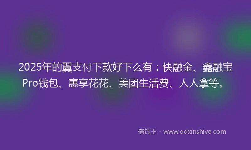 2025年的翼支付下款好下么有：快融金、鑫融宝Pro钱包、惠享花花、美团生活费、人人拿等。