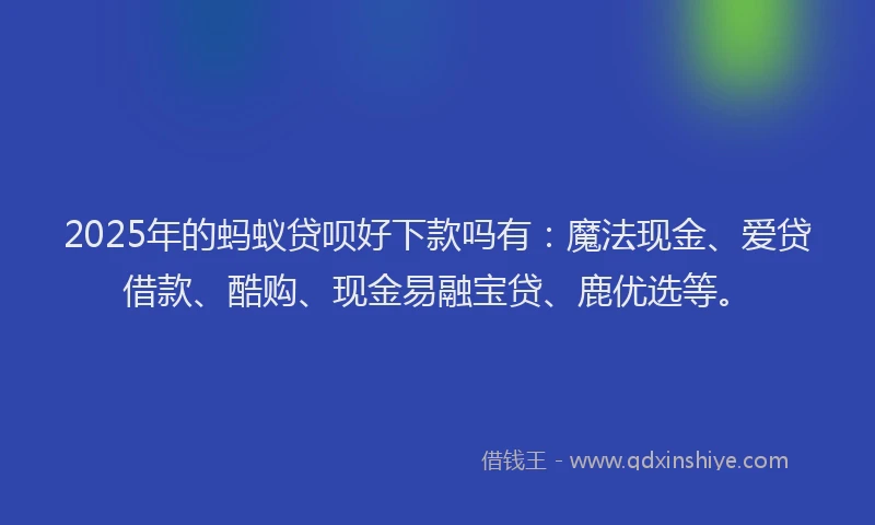 2025年的蚂蚁贷呗好下款吗有：魔法现金、爱贷借款、酷购、现金易融宝贷、鹿优选等。