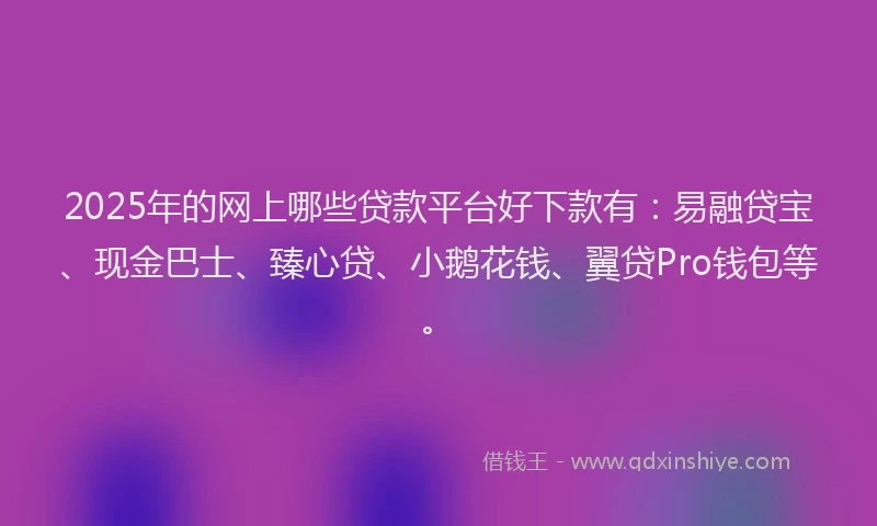 2025年的网上哪些贷款平台好下款有：易融贷宝、现金巴士、臻心贷、小鹅花钱、翼贷Pro钱包等。
