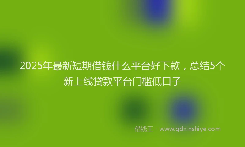 2025年最新短期借钱什么平台好下款，总结5个新上线贷款平台门槛低口子