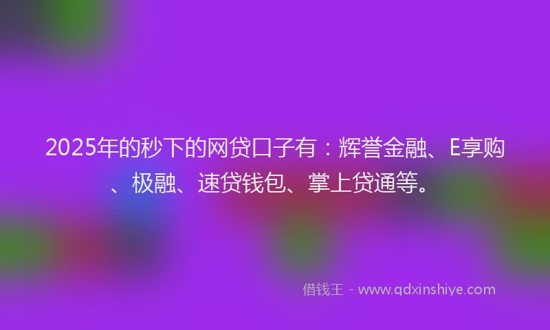 2025年的秒下的网贷口子有：辉誉金融、E享购、极融、速贷钱包、掌上贷通等。