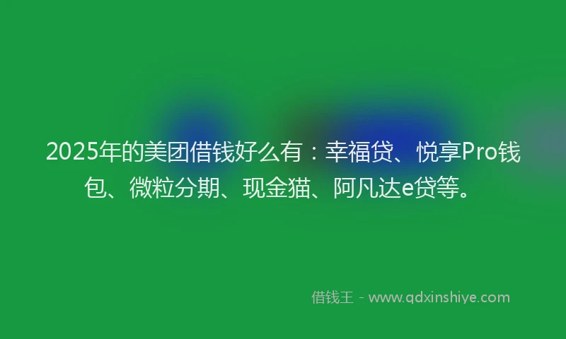 2025年的美团借钱好么有：幸福贷、悦享Pro钱包、微粒分期、现金猫、阿凡达e贷等。