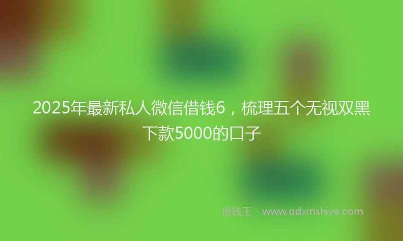 2025年最新私人微信借钱6，梳理五个无视双黑下款5000的口子