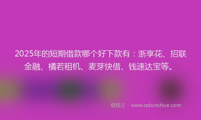 2025年的短期借款哪个好下款有：浙享花、招联金融、橘若租机、麦芽快借、钱速达宝等。