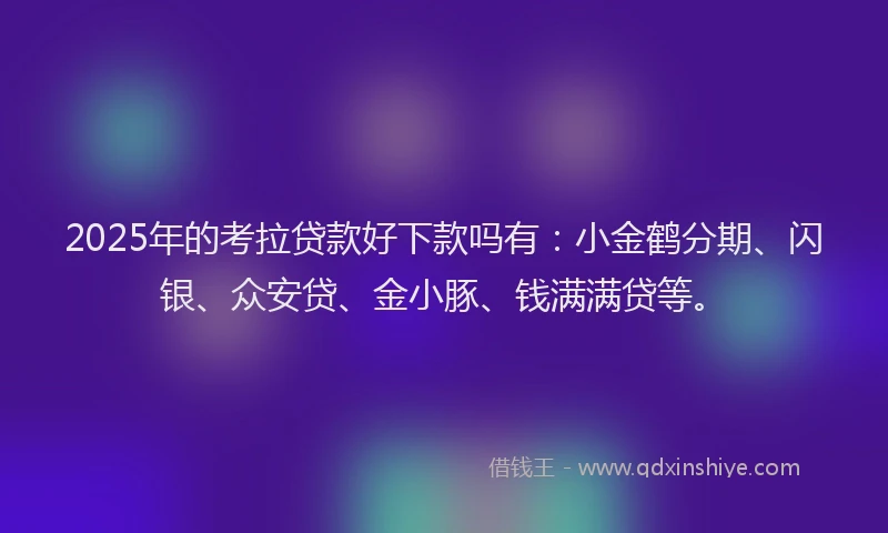 2025年的考拉贷款好下款吗有：小金鹤分期、闪银、众安贷、金小豚、钱满满贷等。