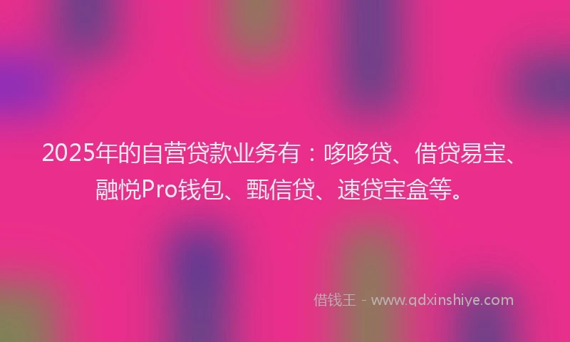 2025年的自营贷款业务有：哆哆贷、借贷易宝、融悦Pro钱包、甄信贷、速贷宝盒等。