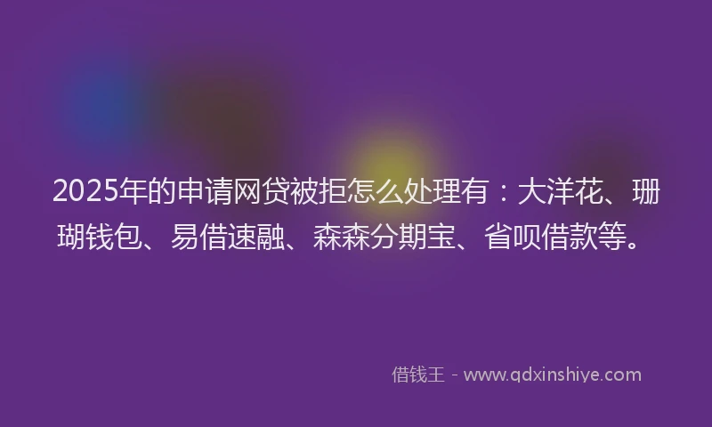 2025年的申请网贷被拒怎么处理有：大洋花、珊瑚钱包、易借速融、森森分期宝、省呗借款等。