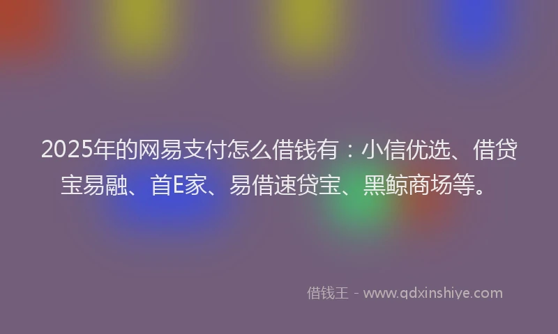 2025年的网易支付怎么借钱有：小信优选、借贷宝易融、首E家、易借速贷宝、黑鲸商场等。
