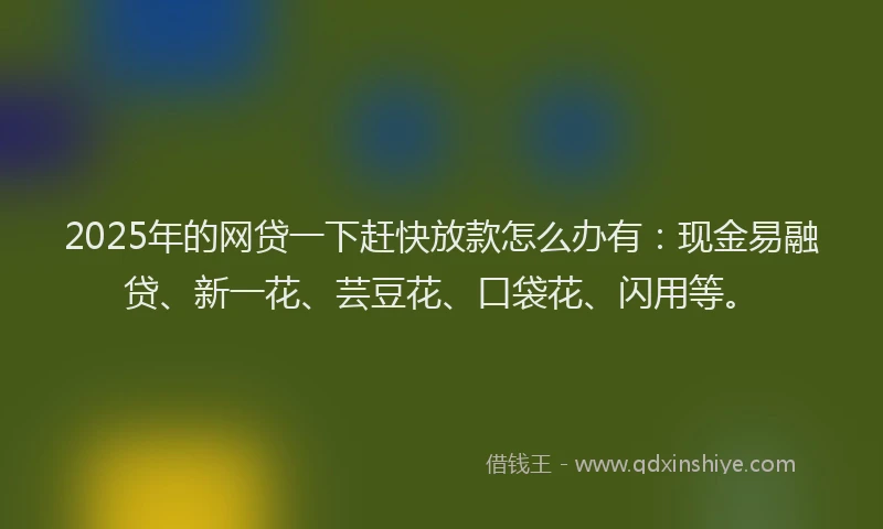 2025年的网贷一下赶快放款怎么办有：现金易融贷、新一花、芸豆花、口袋花、闪用等。