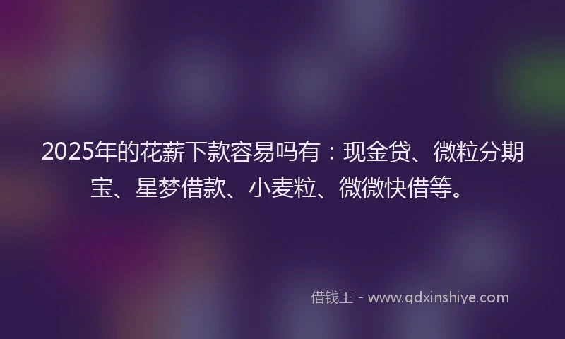 2025年的花薪下款容易吗有：现金贷、微粒分期宝、星梦借款、小麦粒、微微快借等。