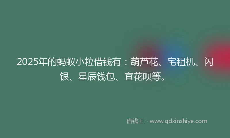 2025年的蚂蚁小粒借钱有：葫芦花、宅租机、闪银、星辰钱包、宜花呗等。