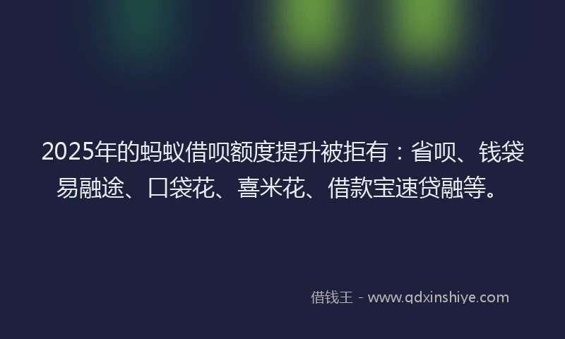 2025年的蚂蚁借呗额度提升被拒有：省呗、钱袋易融途、口袋花、喜米花、借款宝速贷融等。
