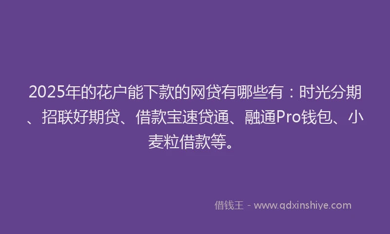 2025年的花户能下款的网贷有哪些有：时光分期、招联好期贷、借款宝速贷通、融通Pro钱包、小麦粒借款等。