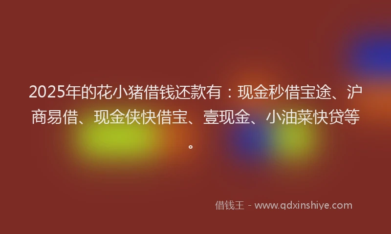 2025年的花小猪借钱还款有：现金秒借宝途、沪商易借、现金侠快借宝、壹现金、小油菜快贷等。