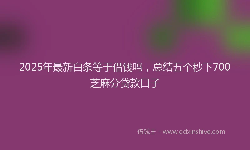 2025年最新白条等于借钱吗，总结五个秒下700芝麻分贷款口子