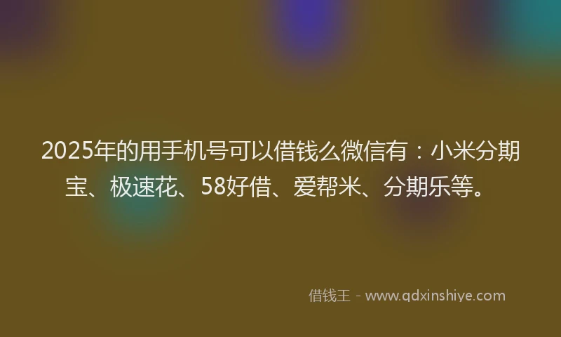 2025年的用手机号可以借钱么微信有:小米分期宝、极速花、58好借、爱帮米、分期乐等。