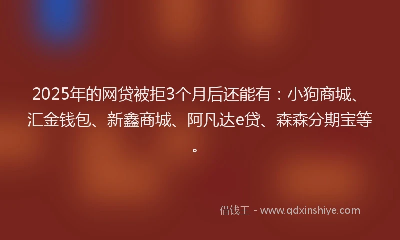 2025年的网贷被拒3个月后还能有：小狗商城、汇金钱包、新鑫商城、阿凡达e贷、森森分期宝等。