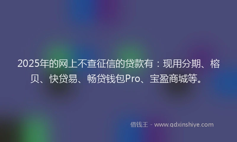 2025年的网上不查征信的贷款有：现用分期、榕贝、快贷易、畅贷钱包Pro、宝盈商城等。