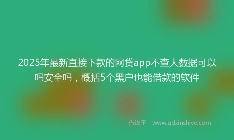 2025年最新直接下款的网贷app不查大数据可以吗安全吗，概括5个黑户也能借款的软件
